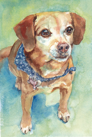 watercolor of dog