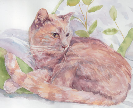 watercolor of cat
